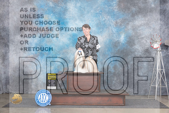 Shih Tzu #5 Fri G3 Judge Pat Trotter__JP_5474_Amarillo_2024_HR3