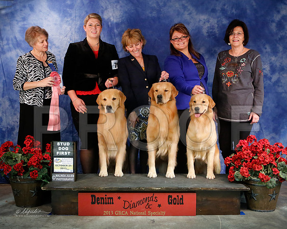 StudDog-8381-WFOct2013-HR