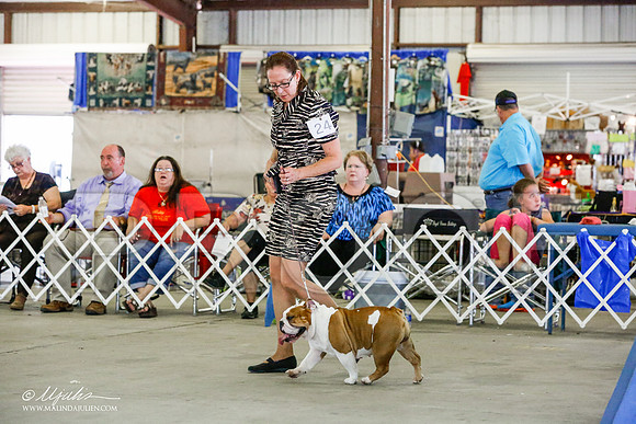 _RH_0006-AlamogordoOct2014-HR3
