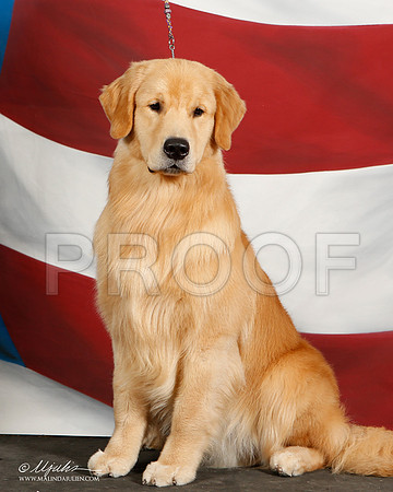 _ST_6427-DallasJul2014-HR3