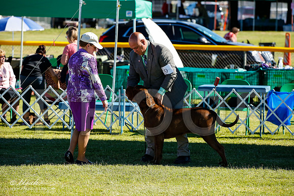 _JJ_9514-AlamogordoOct2014-HR3