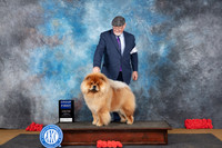 Chow #5 Sat G1 Judge Pat Trotter