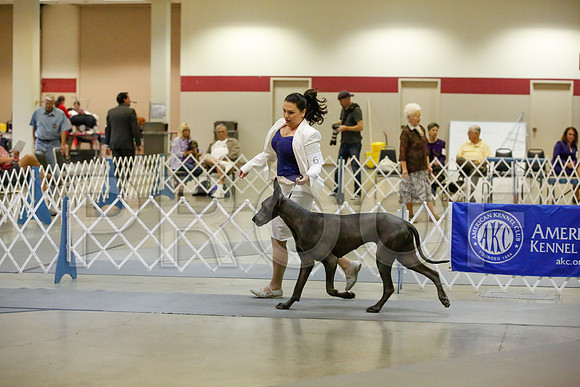 _JJ_8450-AmarilloSept2014-HR3