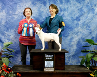 Parson Russell Terrier Sun S1 Annette Rogers Judge Sally Davidson