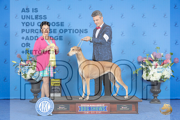 Greyhound #6 SUN G3 Judge Debbie Freeman__JP_0660_Houston_2024_HR3