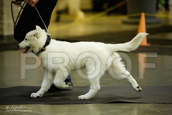 _JJ_6170-BeltonJan2015IABCA-HR3