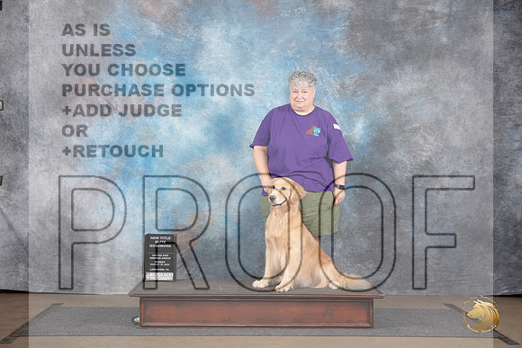 Golden Retriever #616 Sun New Title Elite Judge Peter Betchly__JP_2964_LongviewTX_2024_HR3