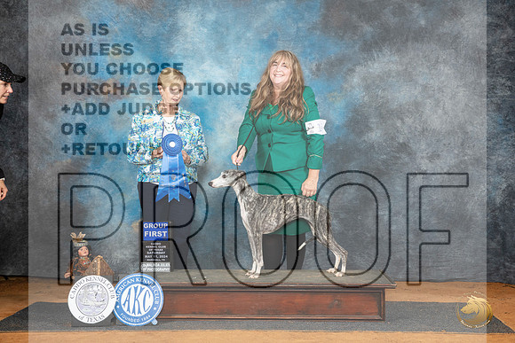 Whippet #14 Sat G1 Judge Karen Hynek__JP_8130_MARSHALL_2024_HR3