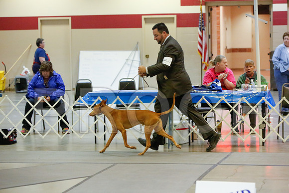 _JJ_4994-AmarilloSept2014-HR3