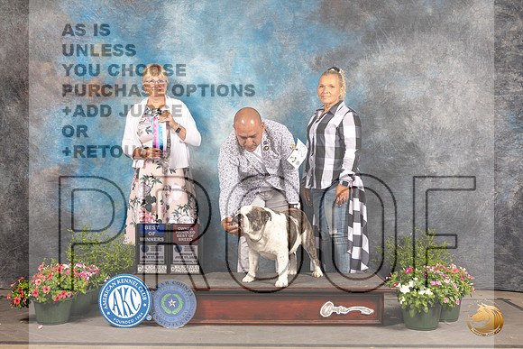 Bulldog #23 Sun BOWOHBOB Judge Debra Thornton_MJ_1129_SA_2022_HR3