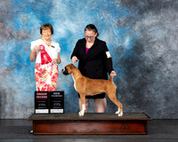 Angie Sanchez UKC Longview Oct 2024