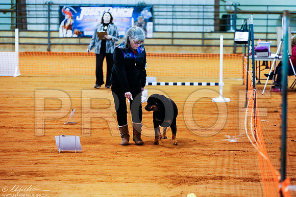 _RH_4619-MarshDec2014-HR
