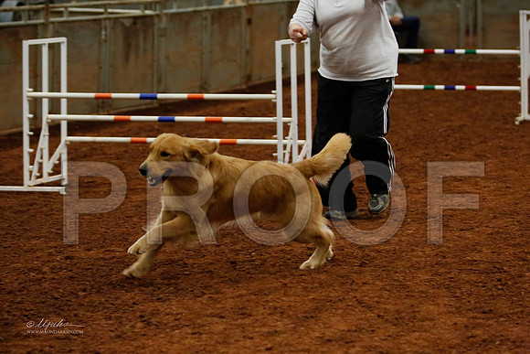FNov24-2931-WFOct2013-HR