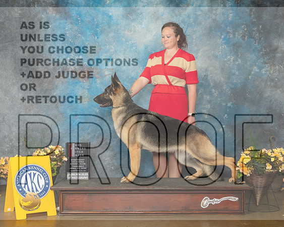 German Shepherd Dog #34 BOS Judge Betty Pollock-MMJ_8676-NWARK2022-HR3