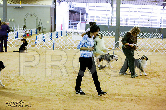 _JN_8093-ASCACollegeStationNov2014-HR3