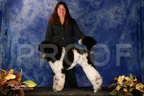 PdMC-9013-NormNov2013-HR