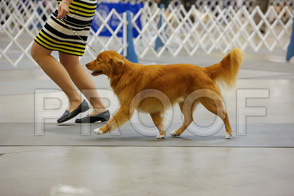 _JJ_2204-AmarilloSept2014-HR3