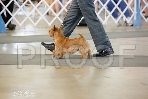 _JN_6450-DalJul2014-HR3