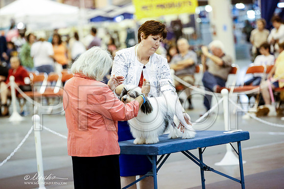 _JN_4880-HstnJul2014-HR3