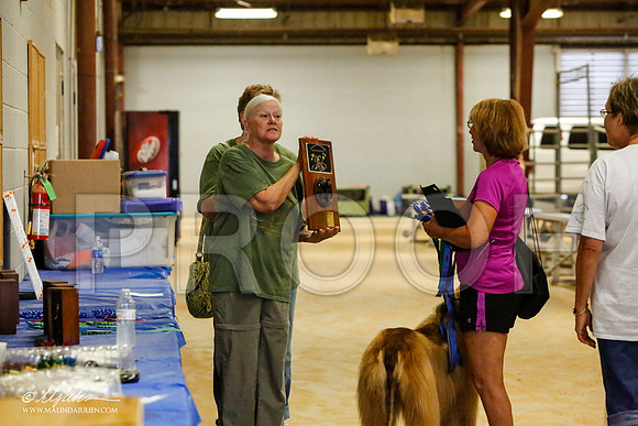 _MJ_2759-AfgBeltonOct2014-HR3