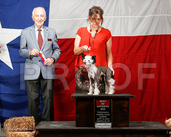 _ST_1988-2-AmarilloSep2014-HR3