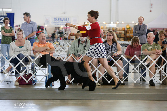 _JJ_1661-DallasJul2014-HR3