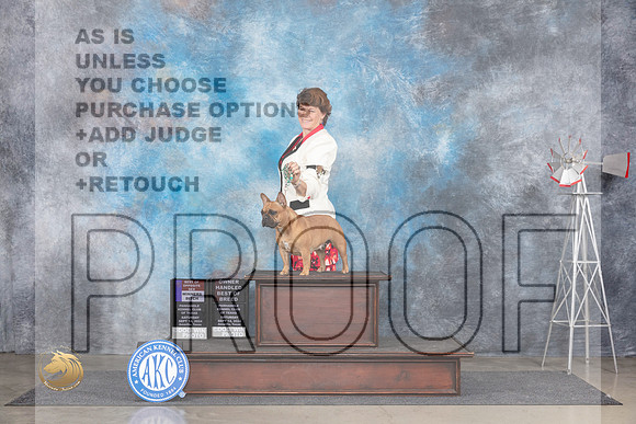 French Bulldog #10 Sat WBBOSBOB Judge Jon Cole__JP_5730_Amarillo_2024_HR3