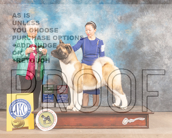 Akita #27 Fri AOMBOH Judge Gloria Kerr-MMJ_7326-FW2022-HR3