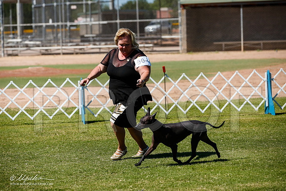 _JJ_8012-AlamogordoOct2014-HR3
