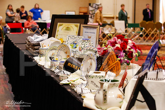 _JJ_8394-HstnCorgiFeb2015-HR3