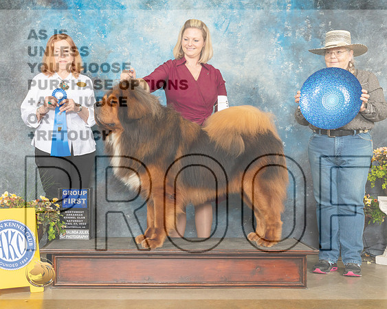 Tibetan Mastiff #5 Sun G1 Judge Jan Sigler-MMJ_1723-NWARK2022-HR3