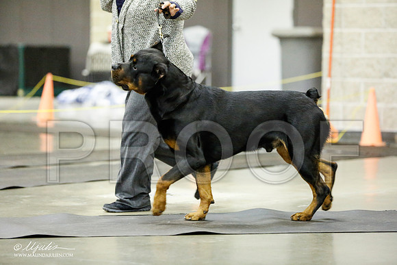 _RH_1765-BeltonJan2015IABCA-HR3