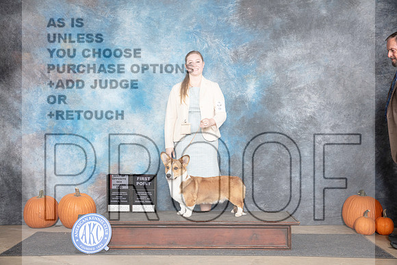 Cardigan Welsh Corgi #5 Sun WDBOS Judge Jan Paulk__JP_9282_Humble_2024_HR3