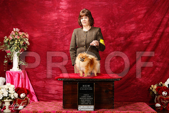 _ST_2806-2-BeltonJan2015IABCA-HR3