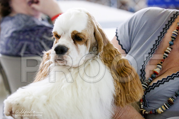 _JN_2606-DallasJul2014-HR3