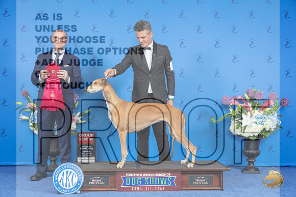 Greyhound #6 THUR G2 Judge Jamie Hubbard__JP_8596_Houston_2024_HR3