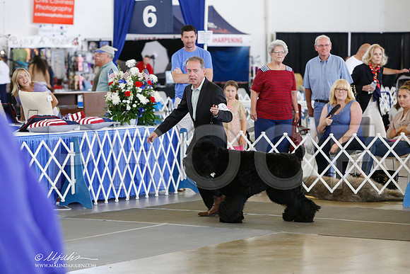 _JJ_1617-DallasJul2014-HR3