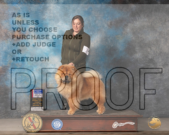 Chow Chow #7 Fri BOSBOW Judge Donnelle RichardsMMJ_3666_Mdlnd2022_HR3