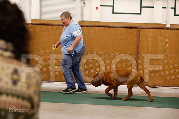 BISpup-1076-NormNov13-HR