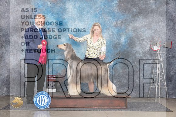 Afghan Hound #9 Thurs G2 Judge Gary Andersen__JP_4905_Amarillo_2024_HR3