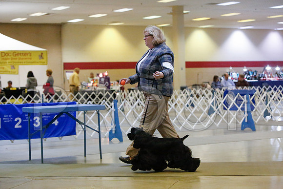 _JJ_2661-AmarilloSept2014-HR3