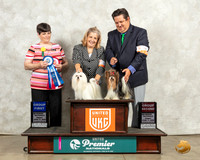 Maltese Biewer Terrier Fri Gs Judge Linda Reece