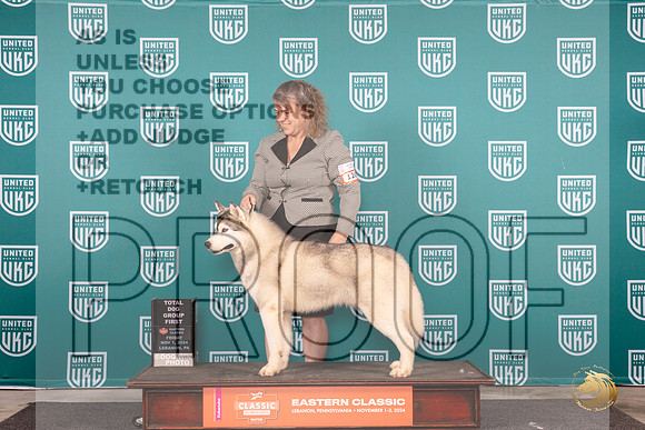 Siberian Husky #120 Fri G1 Judge Dr Kathryn Baxter__JP_1829_UKCEastern_2024_HR3
