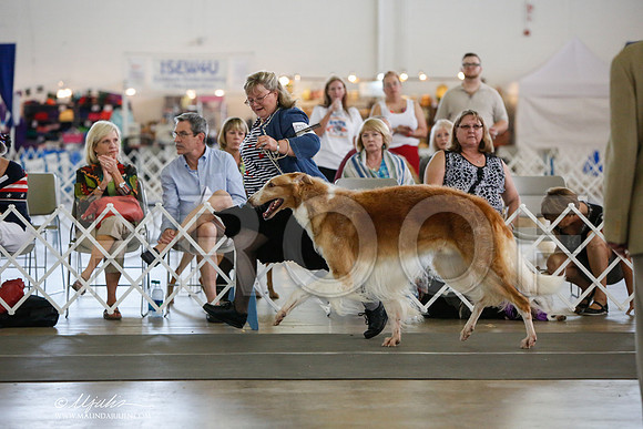 _JJ_2721-DallasJul2014-HR3