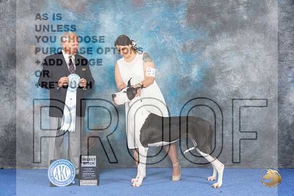 Great Dane #24 WED SB Judge James Remaklus__JP_6806_Houston_2024_HR3