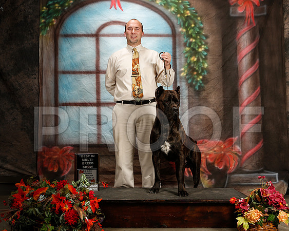 _ST_7097-2-NrmnNov2014-HR3