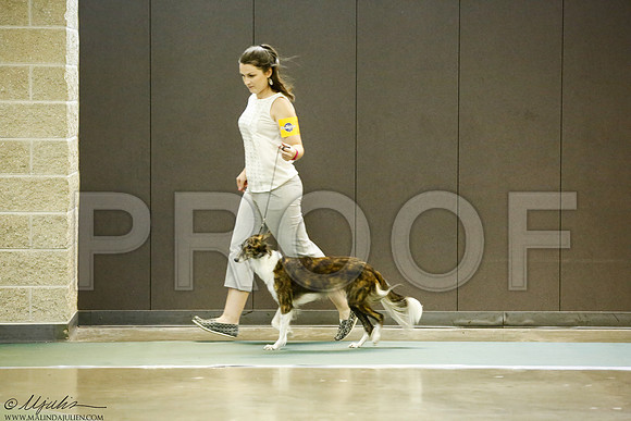 _J3L7414-BeltSep2014-HR