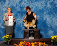 Tibetan Spaniels #5 Sun G4 Rodriguez Samuel J Judge Mrs Rita Holloway