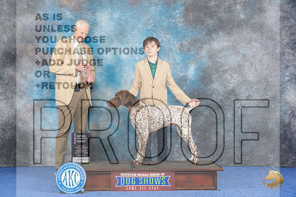 German Shorthaired Pointer #J500 Wed OPJr1 Judge Jon Cole__JP_7522_Houston_2024_HR3