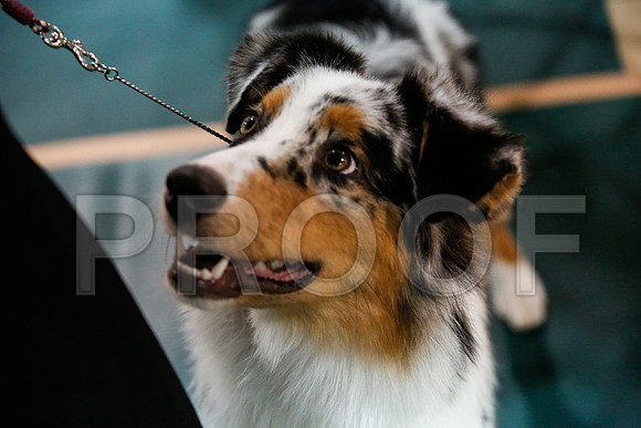_JJ_7141-ASCACollegeStationNov2014-HR3